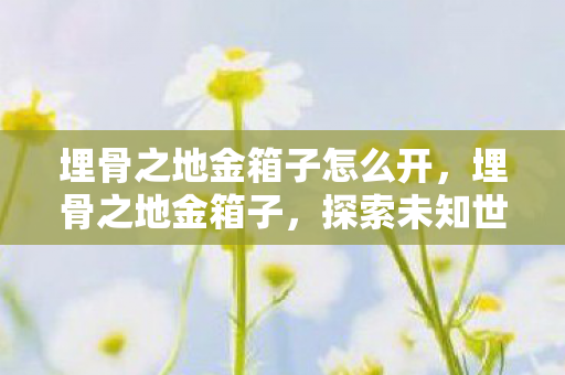 埋骨之地金箱子怎么开,埋骨之地金箱子,探索未知世界的神秘宝藏 埋骨之地金箱子怎么开,埋骨之地金箱子,探索未知世界的神秘宝藏