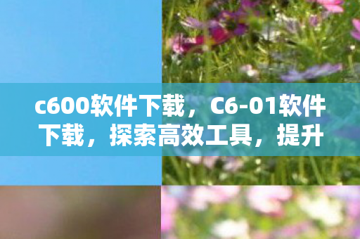 c600软件下载,C6-01软件下载,探索高效工具,提升工作效率 c600软件下载,C6-01软件下载,探索高效工具,提升工作效率