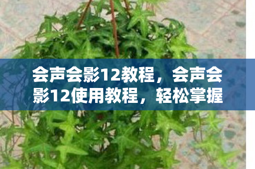 会声会影12教程，会声会影12使用教程，轻松掌握视频编辑技巧