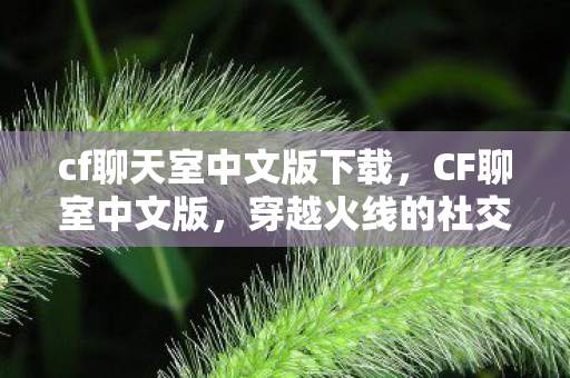 cf聊天室中文版下载,CF聊室中文版,穿越火线的社交新篇章 cf聊天室中文版下载,CF聊室中文版,穿越火线的社交新篇章