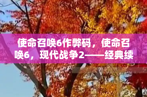 使命召唤6作弊码,使命召唤6,现代战争2——经典续作的震撼回归 使命召唤6作弊码,使命召唤6,现代战争2——经典续作的震撼回归