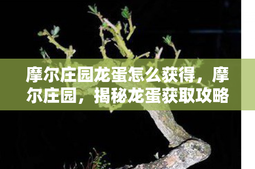 摩尔庄园龙蛋怎么获得,摩尔庄园,揭秘龙蛋获取攻略 摩尔庄园龙蛋怎么获得,摩尔庄园,揭秘龙蛋获取攻略