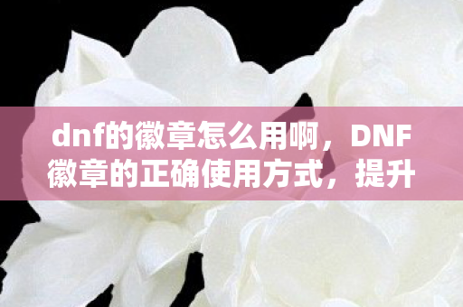 DNF徽章的正确使用方式图片