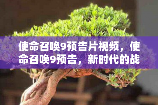 使命召唤9预告片视频图片