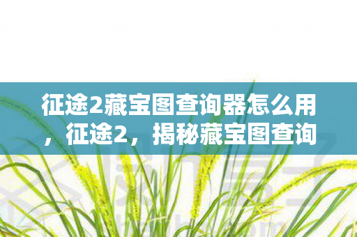 揭秘藏宝图查询器的神秘之旅图片