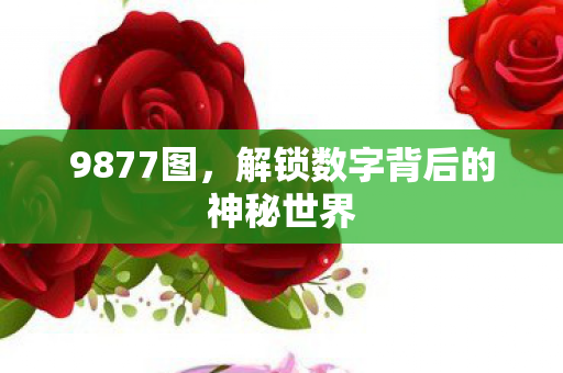 9877图,解锁数字背后的神秘世界 9877图,解锁数字背后的神秘世界