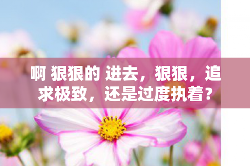 啊 狠狠的 进去，狠狠，追求极致，还是过度执着？