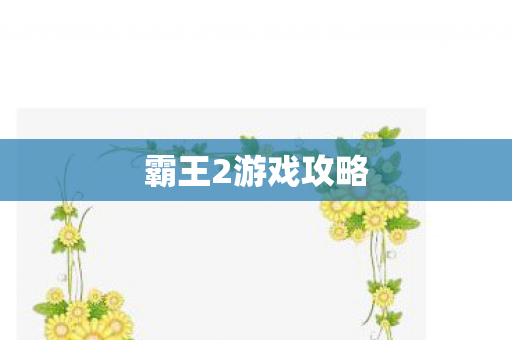 霸王2游戏攻略 霸王2游戏攻略