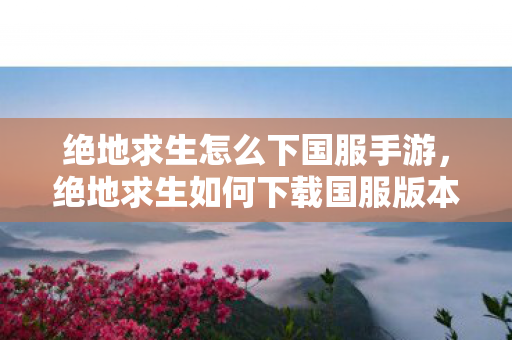 绝地求生如何下载国服版本图片