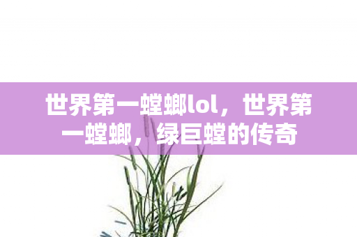 世界第一螳螂lol图片
