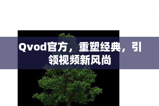 引领视频新风尚图片