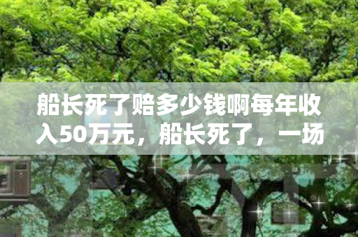 船长死了赔多少钱啊每年收入50万元图片