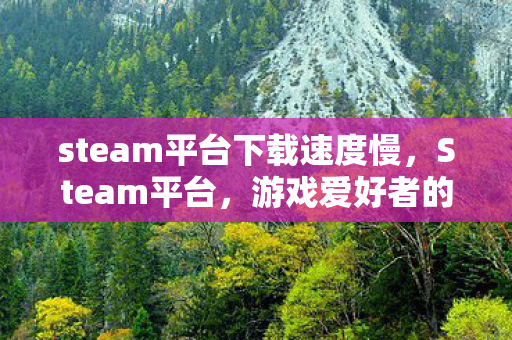 steam平台下载速度慢，Steam平台，游戏爱好者的首选下载站