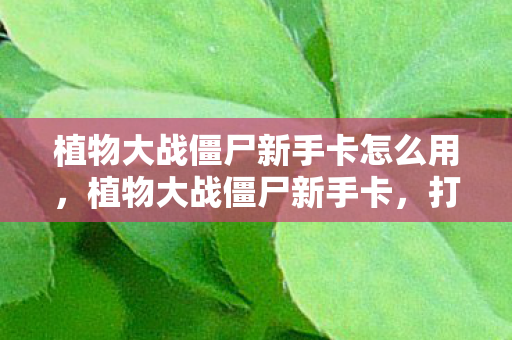 植物大战僵尸新手卡怎么用，植物大战僵尸新手卡，打造你的植物军团