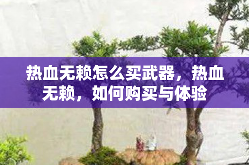 热血无赖怎么买武器图片