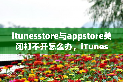 itunesstore与appstore关闭打不开怎么办，iTunes Store与App Store关闭并无法打开，解决之道与原因分析