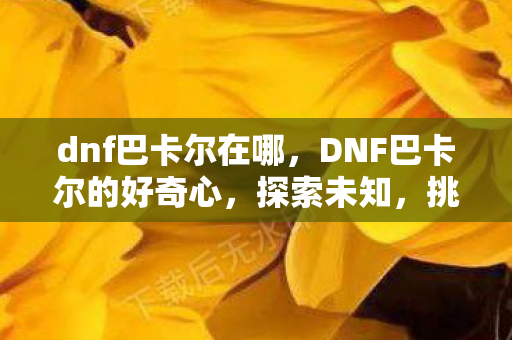 DNF巴卡尔的好奇心图片