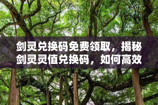 剑灵兑换码免费领取图片