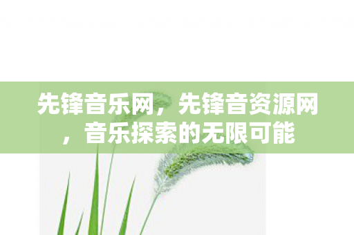 先锋音乐网，先锋音资源网，音乐探索的无限可能