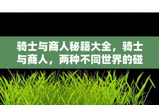 骑士与商人秘籍大全，骑士与商人，两种不同世界的碰撞与融合