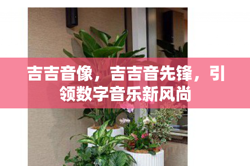 吉吉音像，吉吉音先锋，引领数字音乐新风尚