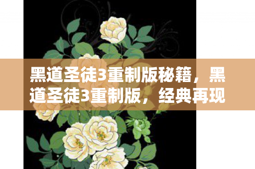 黑道圣徒3重制版秘籍，黑道圣徒3重制版，经典再现，新体验再升级