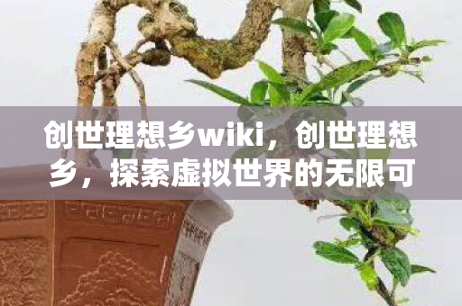 创世理想乡wiki，创世理想乡，探索虚拟世界的无限可能