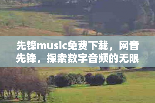 先锋music免费下载图片