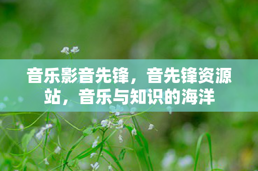 音乐影音先锋,音先锋资源站,音乐与知识的海洋 音乐影音先锋,音先锋资源站,音乐与知识的海洋
