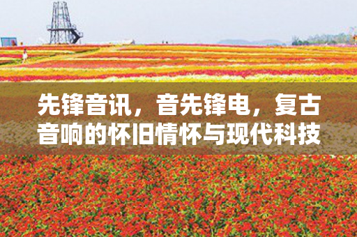 复古音响的怀旧情怀与现代科技的融合图片
