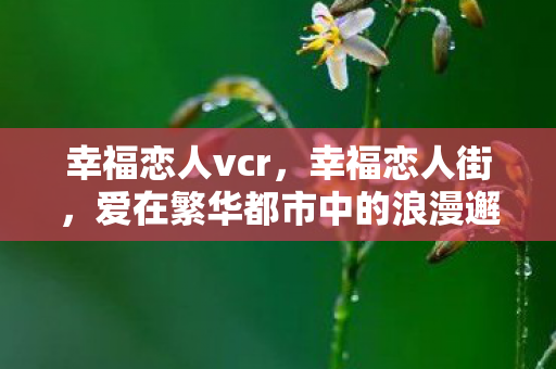 爱在繁华都市中的浪漫邂逅图片