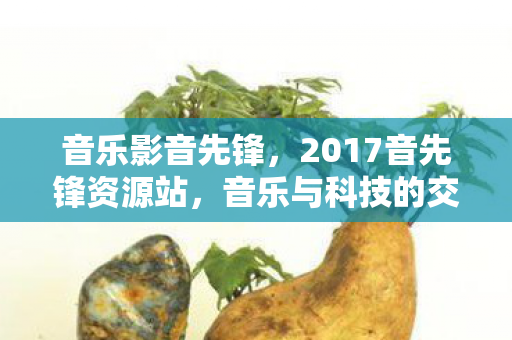 2017音先锋资源站图片
