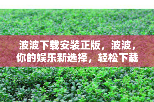 波波下载安装正版图片