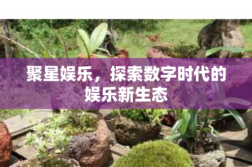 探索数字时代的娱乐新生态图片