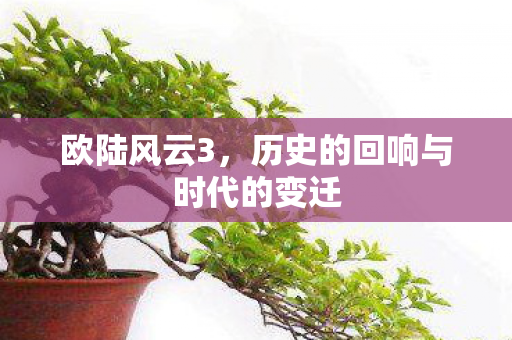 欧陆风云3,历史的回响与时代的变迁 欧陆风云3,历史的回响与时代的变迁