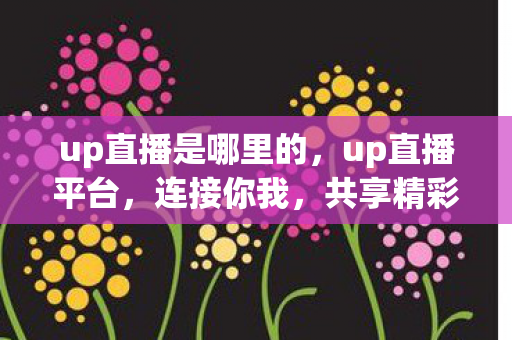 up直播是哪里的，up直播平台，连接你我，共享精彩