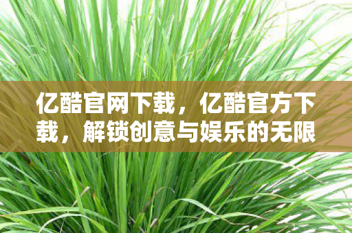 解锁创意与娱乐的无限可能图片