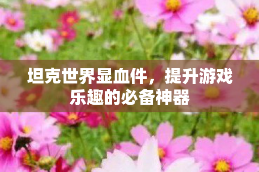 坦克世界显血件,提升游戏乐趣的必备神器 坦克世界显血件,提升游戏乐趣的必备神器