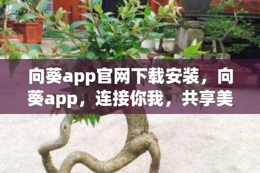 向葵app官网下载安装,向葵app,连接你我,共享美好 向葵app官网下载安装,向葵app,连接你我,共享美好
