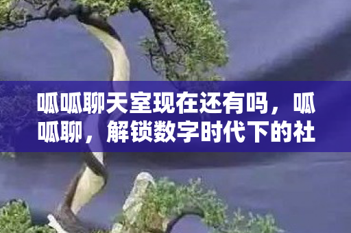 呱呱聊天室现在还有吗,呱呱聊,解锁数字时代下的社交新体验 呱呱聊天室现在还有吗,呱呱聊,解锁数字时代下的社交新体验
