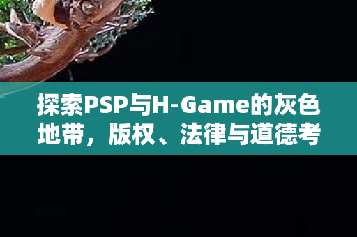探索PSP与H-Game的灰色地带，版权、法律与道德考量