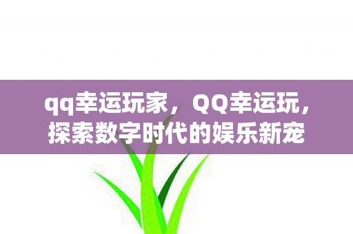 qq幸运玩家，QQ幸运玩，探索数字时代的娱乐新宠