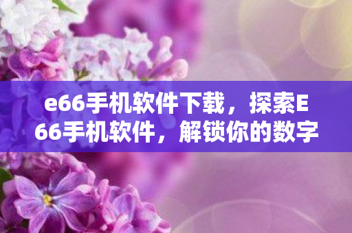 e66手机软件下载，探索E66手机软件，解锁你的数字生活新可能