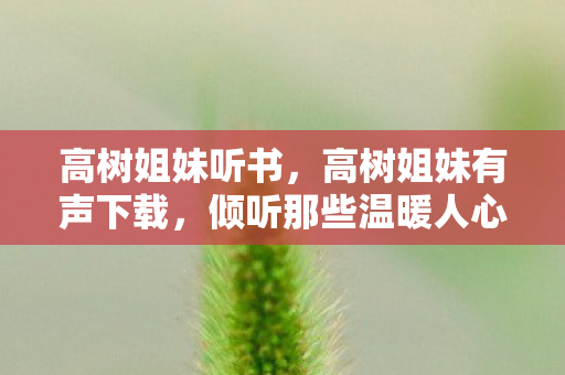 高树姐妹听书，高树姐妹有声下载，倾听那些温暖人心的故事
