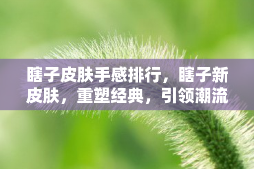 瞎子皮肤手感排行，瞎子新皮肤，重塑经典，引领潮流