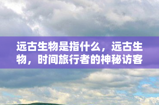 时间旅行者的神秘访客图片