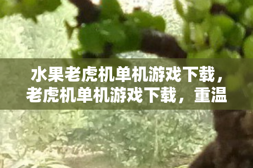 水果老虎机单机游戏下载,老虎机单机游戏下载,重温经典,尽享娱乐 水果老虎机单机游戏下载,老虎机单机游戏下载,重温经典,尽享娱乐