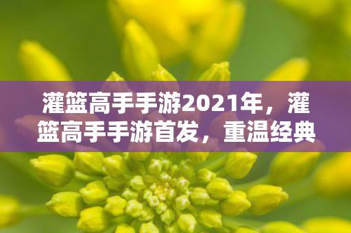灌篮高手手游2021年，灌篮高手手游首发，重温经典，再燃热血！