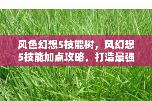风色幻想5技能树，风幻想5技能加点攻略，打造最强角色