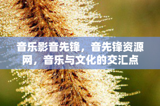 音乐影音先锋,音先锋资源网,音乐与文化的交汇点 音乐影音先锋,音先锋资源网,音乐与文化的交汇点